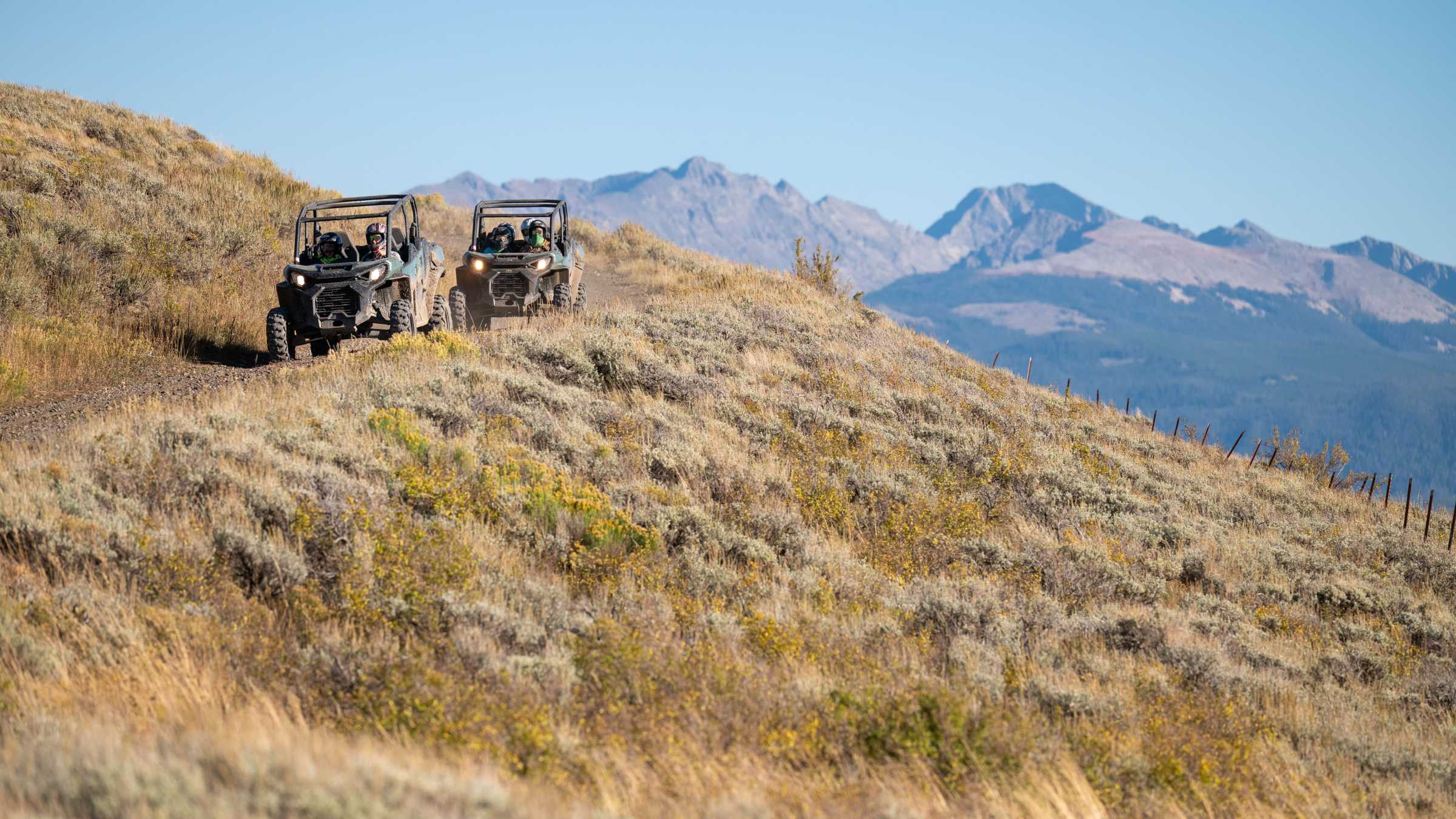 a field with a mountain in the background