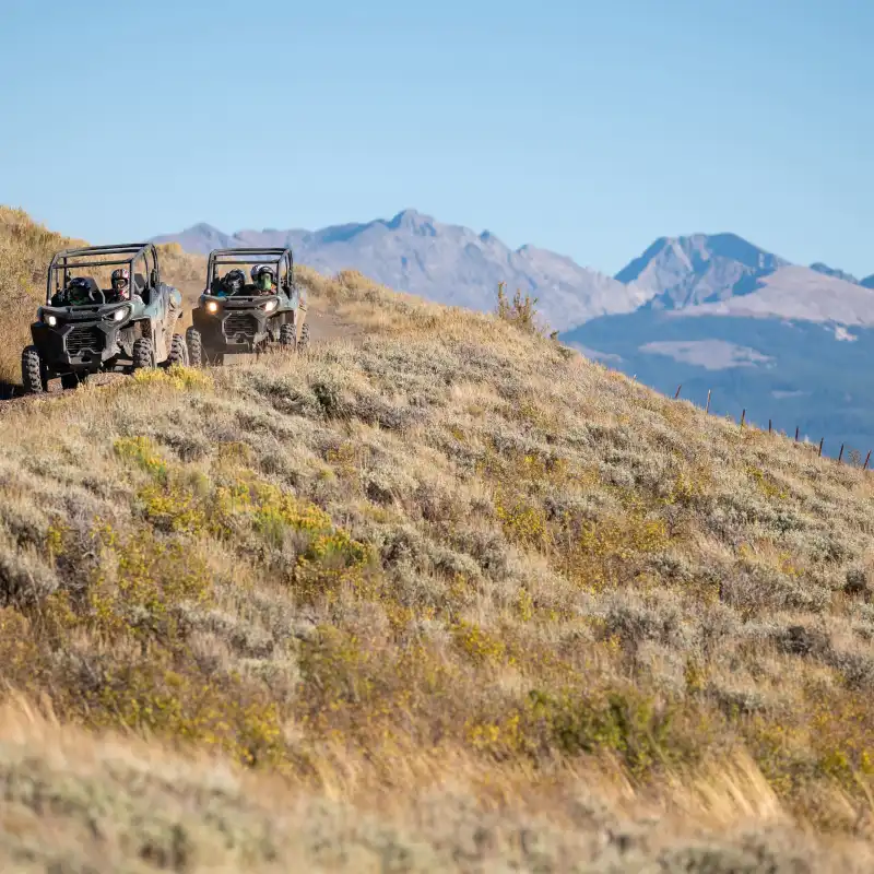 a field with a mountain in the background