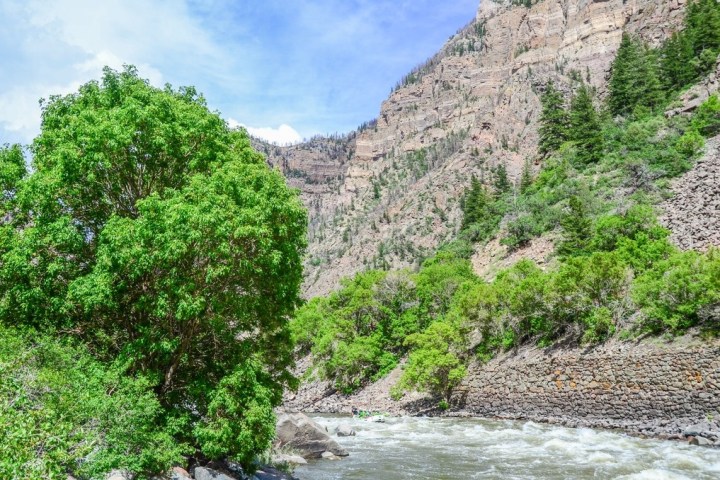 a rocky river with trees on the side of a mountain