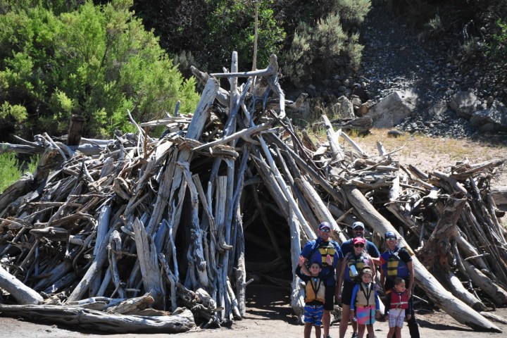 a group of people standing next to a tree