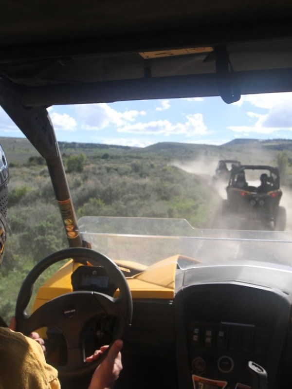 a person driving a car