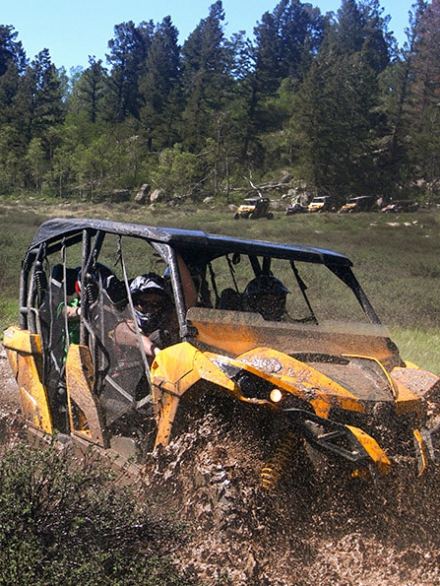 a tractor in a forest