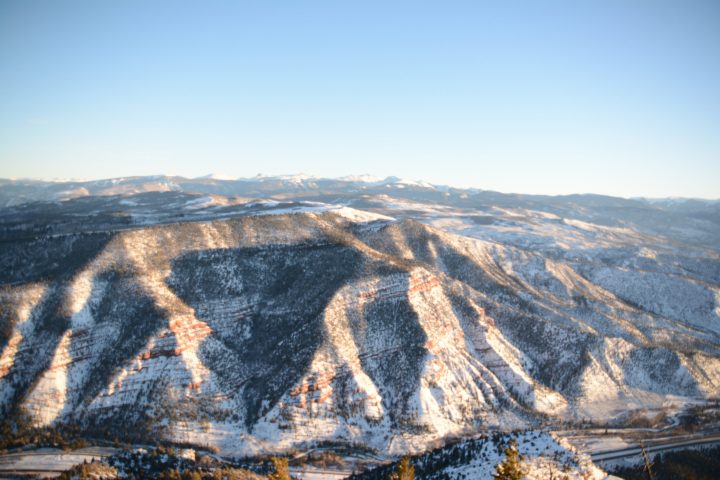 a turtle with a mountain in the background