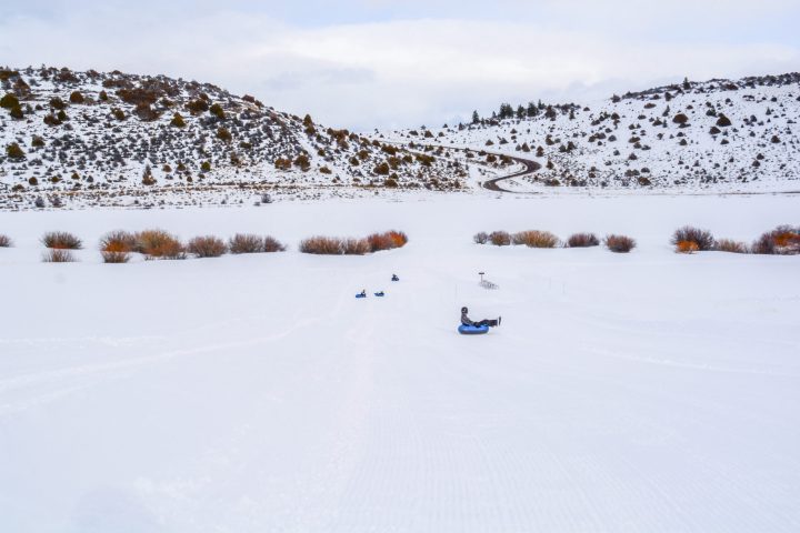 a herd of sheep walking across a snow covered field