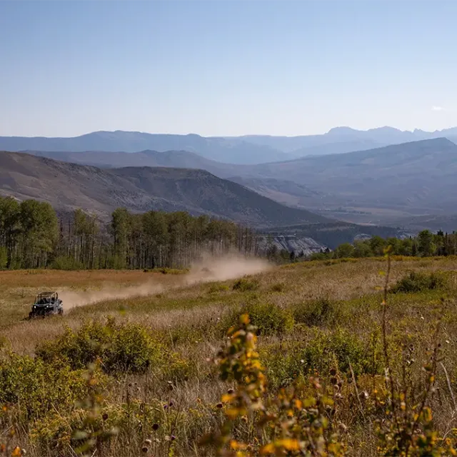 a field with a mountain in the background
