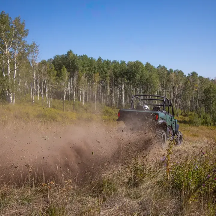 a person in a green field with trees in the background