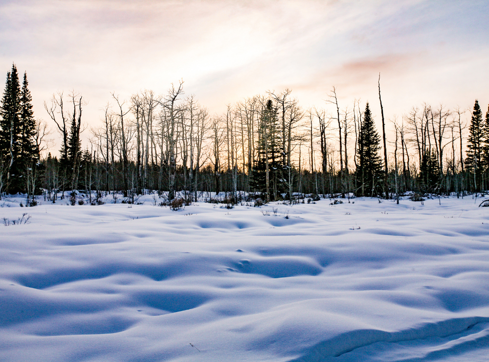 snowmobile-trails-in-colorado