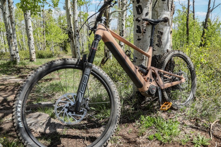 a bicycle leaning against a tree