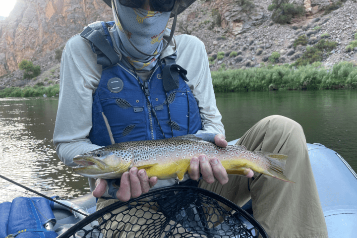 a man holding a fish on a boat in a body of water