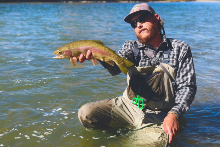a man holding a fish in a body of water