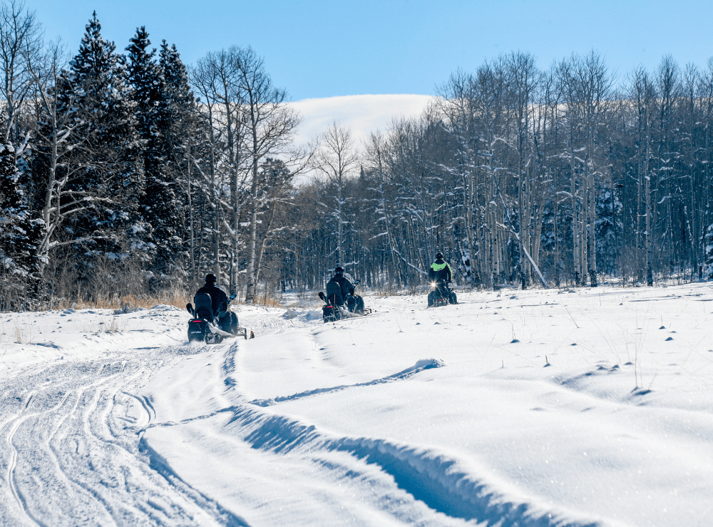 best-snowmobiles-for-trail-and-deep-snow