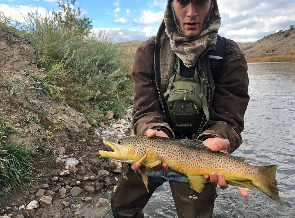 colorado-fly-fishing-vacations-for-beginners
