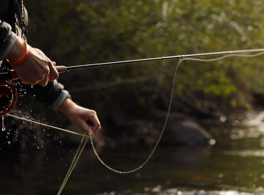 best-trout-fishing-in-colorado