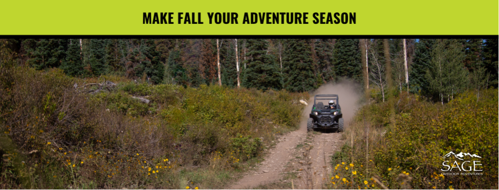 The Best Fall Activities in Vail
