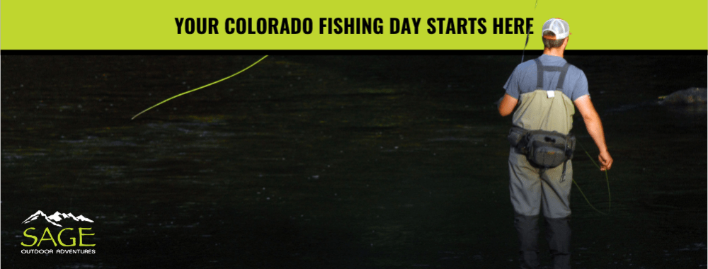 Guided Fly Fishing Trip in Colorado